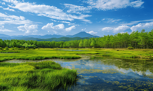 呼伦贝尔大兴安岭森林草原湿地2