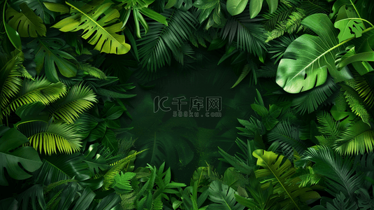 森林光芒背景图片_绿色森林里树叶叶片纹理的背景12