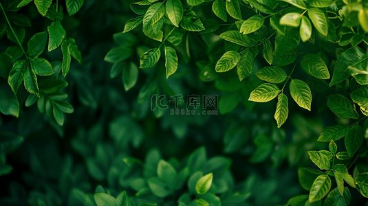简约绿色植物背景背景图片_绿色植物装饰纹理背景1