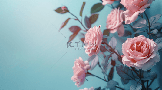 粉色花朵植物装饰小清新背景14