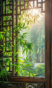 发光绿植墙摄影照片_中式雕花木窗外的绿植5