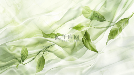 白绿色简约树叶树枝叶片纹理的背景11
