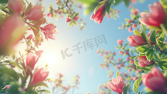 春季上新千库原创摄影照片_春季百花盛开摄影图