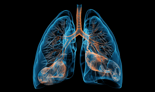 人体器官图片摄影照片_肺侧位观医疗照片