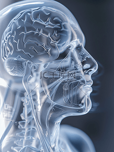 呼吸医疗背景图片_大脑呼吸内科人体骨骼透视医学