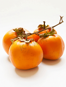 秋季脆柿子特色水果