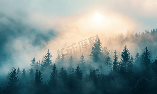 烟雾阴森摄影照片_雾中的山林清晨