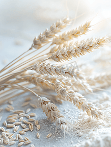 小麦摄影照片_营养的小麦粉