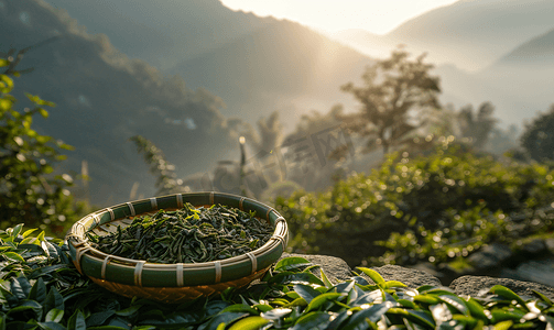 水墨普洱茶摄影照片_云南普洱茶园晒茶春茶茶叶