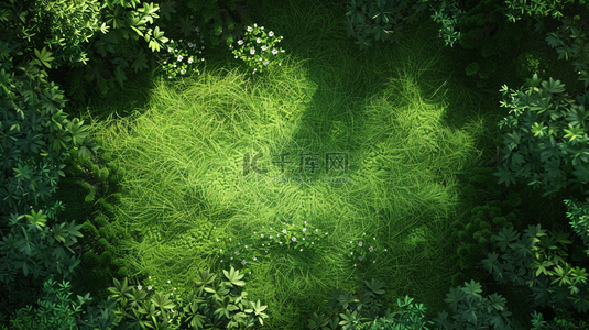 绿色草地俯视装饰背景16
