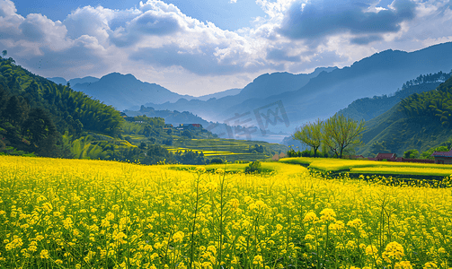 婺源油菜花山光春色