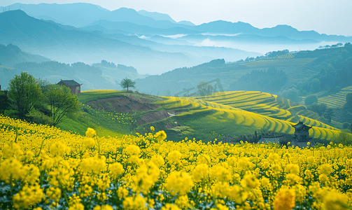 婺源油菜花山光春色