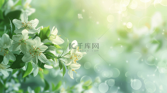 春天散焦虚化白色花朵绿色光影背景