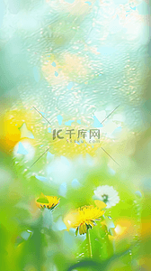 春天谷雨节气雨中柔和模糊黄色花朵背景
