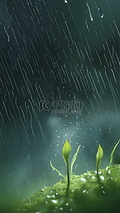 新疆景色背景图片_国风春雨春天雨中景色19背景图片