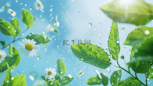 春清背景图片_清新春天雨中的枝叶花朵背景