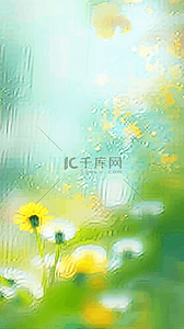 春黄色背景图片_春天谷雨节气雨中柔和模糊黄色花朵背景素材