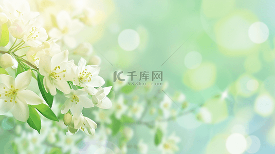 春天散焦虚化白色花朵绿色光影背景