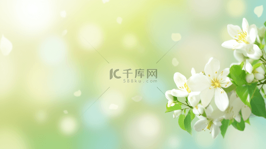 白色花朵背景背景图片_春天散焦虚化白色花朵绿色光影背景