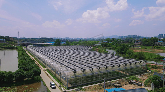 畜牧大棚摄影照片_航拍农业大棚种植基地农业