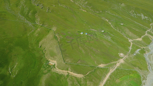 夏季新疆呼伦贝尔大草原