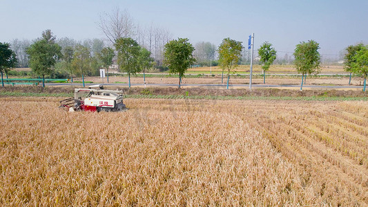 航拍丰收季秋收机械收割水稻稻谷