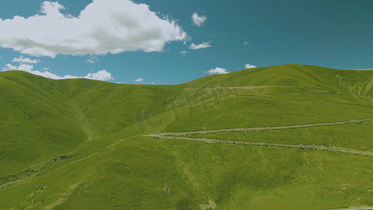 夏季西藏高原大草原