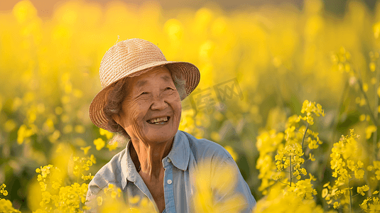 油菜花田中拍照的老奶奶22