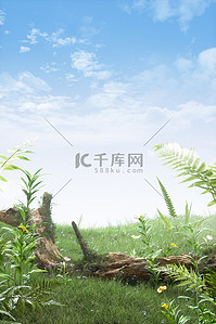 c4d展台背景图片_春天春季草地植物枯木绿色清新C4D展台背景图