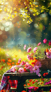 春暖花开时背景图片_清新春天公园长凳上的花篮素材