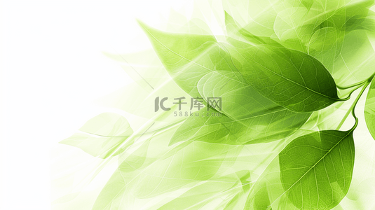 树叶抽象背景图片_绿色简约清新树叶叶片纹理的背景