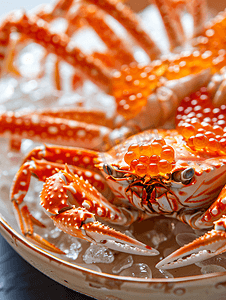美食图图片摄影照片_美味大闸蟹螃蟹蟹黄背景素材