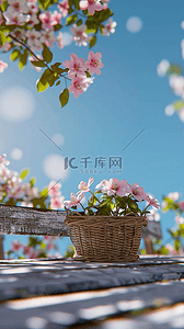 你好春天背景图片_清新春天公园长凳上的花篮背景图