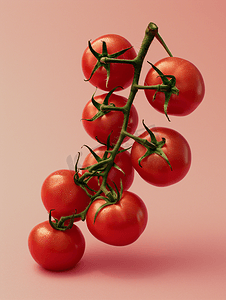小餐桌广告摄影照片_有机连枝番茄千禧番茄小西红柿
