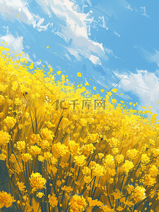 蓝天白云下户外黄色花朵花丛的背景