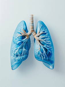 呼吸灯效果动图摄影照片_肺呼吸内科
