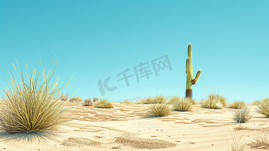 沙漠仙人掌立体描绘摄影照片
