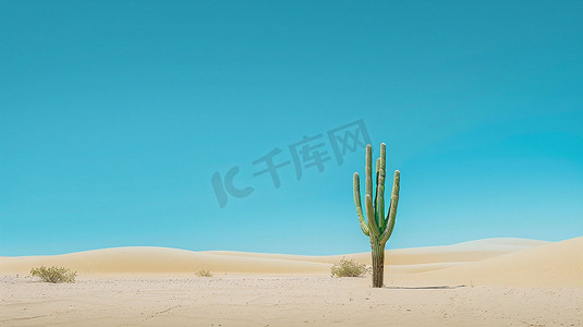 沙漠立体摄影照片_沙漠仙人掌立体描绘摄影照片
