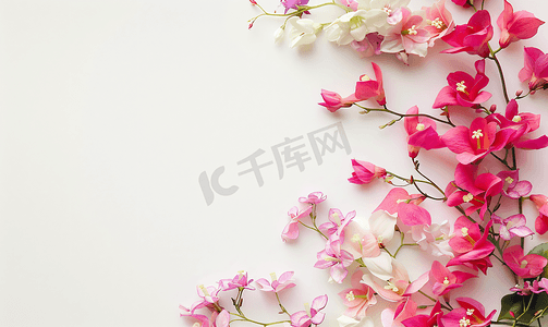 花朵字母摄影照片_花卉与背景留白