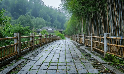 幽静的蜀南竹海竹林石板路