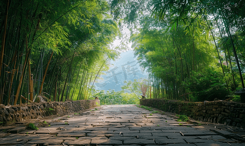 幽静的蜀南竹海竹林石板路