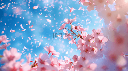粉色唯美花瓣背景背景图片_唯美自然蓝天白云粉色树木的背景