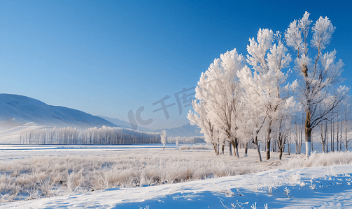 东北旅游摄影照片_东北亚布力清晨的雪景