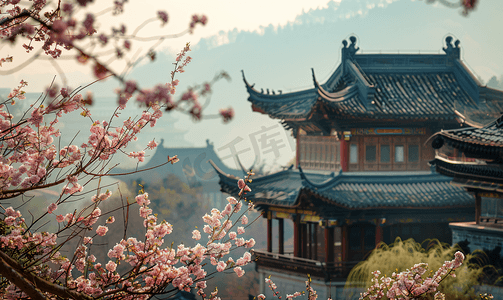 花背景中国风摄影照片_春天南京清凉山崇正书院的植物绣球花与古代建筑