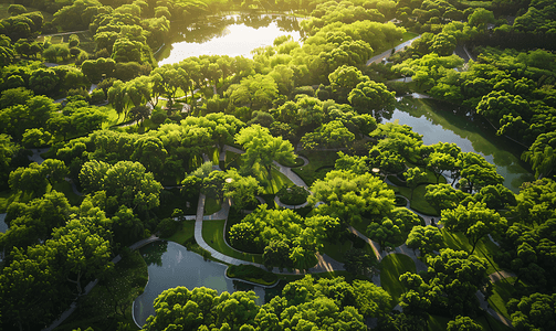 绿化摄影照片_俯瞰城市森林公园绿化