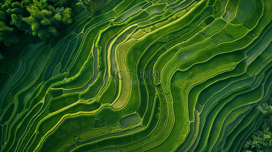 绿色朦胧渐变田野里田地的背景