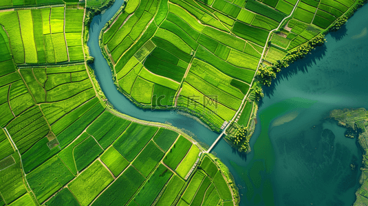 航拍绿色大面积田野田地河流的背景
