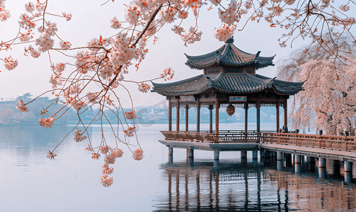 樱花浪漫时摄影照片_西湖樱花浪漫时