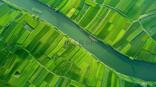 大面积飞白背景图片_航拍绿色大面积田野田地河流的背景