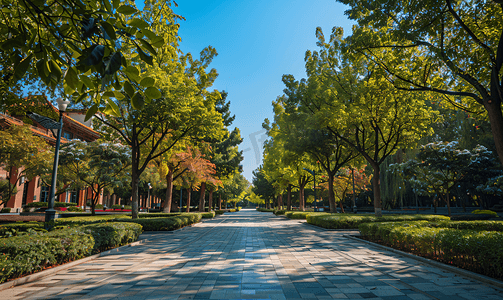 清华园清华大学